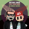 Free Your Mind (Da Brozz Remix) - Antoine Simar