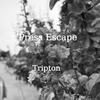 Press Escape - Tripton