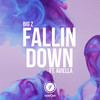 Fallin Down (feat. Aviella) - BIG Z&Aviella