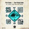 Carthaginem (Janno Kekkonen Remix) - Forteen&Janno Kekkonen