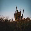 Far Away Places - Rascal