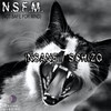 Insane - N.S.F.M.