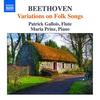 No. 1. Air ecossais in G Major: The cottage maid - Patrick Gallois&Maria Prinz