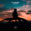 Spring Trip (Original Mix) - Alex Radiant