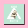 Run It (Original Mix) - Procyon