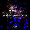 BEAT VIBE ORCHESTRAL (Explicit) - DJ PATTATYNOBEAT
