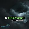 Black Clouds (Original Mix) - Forest Therapy