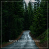 Wet Weather - Nature Sounds Worldwide