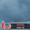 Hide Me (Original Mix) - Irvina