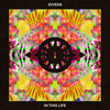 In This Life (Original Mix) - Divens