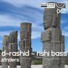 Striders (Original Mix) - D-Rashid&Rishi Bass