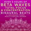 Reading Comprehension Zone - 12.2 Hz Beta Frequency Binaural Beats - Binaural Beats Research&David & Steve Gordon