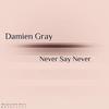 Never Say Never(Manipulated Loops 03) - Damien Gray