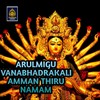 Arulmigu Vanabadrakali Amman Thiru Namam - S P Balasubrahmanyam