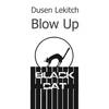 Blow Up (Original Mix) - Dusen Lekitch