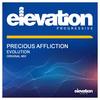 Evolution (Original Mix) - Precious Affliction