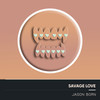 Savage Love (Explicit) - Jason Born