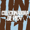 Colecionadora de Pic4 (Explicit) - DJ Guina&WR Original&DJ Willy
