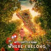 Where I Belong (shndo Remix) - Nitti Gritti&Shndō&RUNN