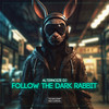 Follow The Dark Rabbit - Alternoize Dj