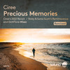 Precious Memories (Stoby & Sonia Scott's Reminiscence Dub Mix) - Ciree&Stoby&Sonia Scott