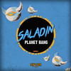 Frenzy (Original Mix) - Saladin