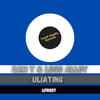 The Ululating (Original Mix) - Zam T&Logo alloy