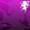 Where Are You Now - Culsu