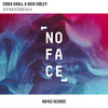 Synesthesia - Erika Krall&Rich Sibley&NoFace Records