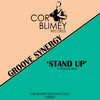 Stand Up - Groove Synergy