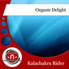 Organic Delight (Instrumental Mix) - Kalachakra rider