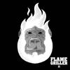 Dexter's Lab - Flame Griller