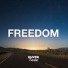 Freedom (Radio Edit) - Oliver Barabas