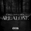 All Alone(Instrumental) (纯音乐) - Paige&OBEK&Ossi