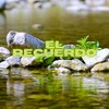 El recuerdo - RWN