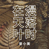 在漫天落叶的广州等你 - 曾小美