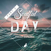 Soulful Day (Dj KiK Disco Mix) - Yohan Esprada&DJ Kik