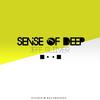 Sense Of Deep (Organic Tech Mix) - Jeff Silver