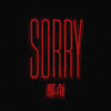 Sorry那奇 - BrAnTB白景屹
