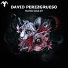 Muted Soul (Original Mix) - David Perezgrueso