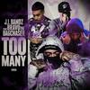 Too Many (feat. BravoTheBagChaser) (Explicit) - J.I Bandz&Bravothebagchaser