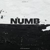 Numb (Explicit) - CurtDaGreat&Riquel V