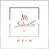 No Sabes - Ozin