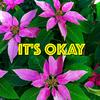 It's Okay - Socialites