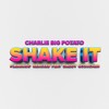 Dan Thomas Radio (Flamingo Remix) - Charlie Big Potato