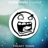 Snowfall - Andrei Mario