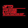 In Da Nation - Sam Divine&Cassimm