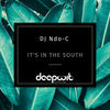 It's in the South (Frederick Alonso Remix) - DJ Ndo-C&Frederick Alonso