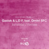 Iremember (Ru Okee Remix) - Gastek&L.D.F.&Dmitri SFC