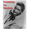 Monkberry Moon Delight - Screamin' Jay Hawkins